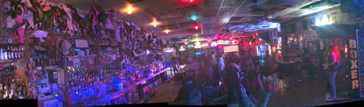 Hogs & Heifers Panorama